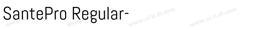 SantePro Regular字体转换